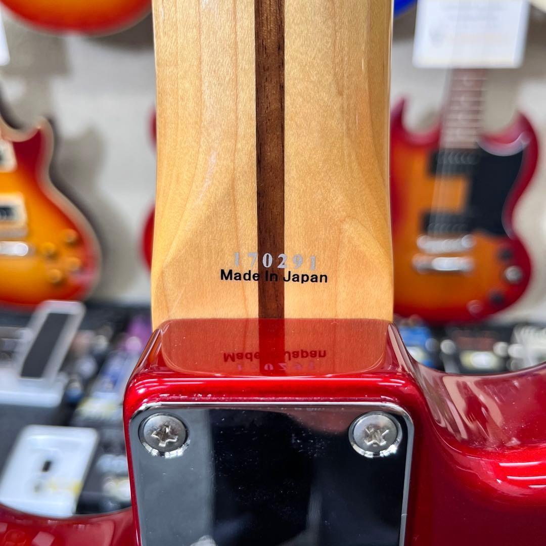 【10425】 TOKAI goldstar sounds