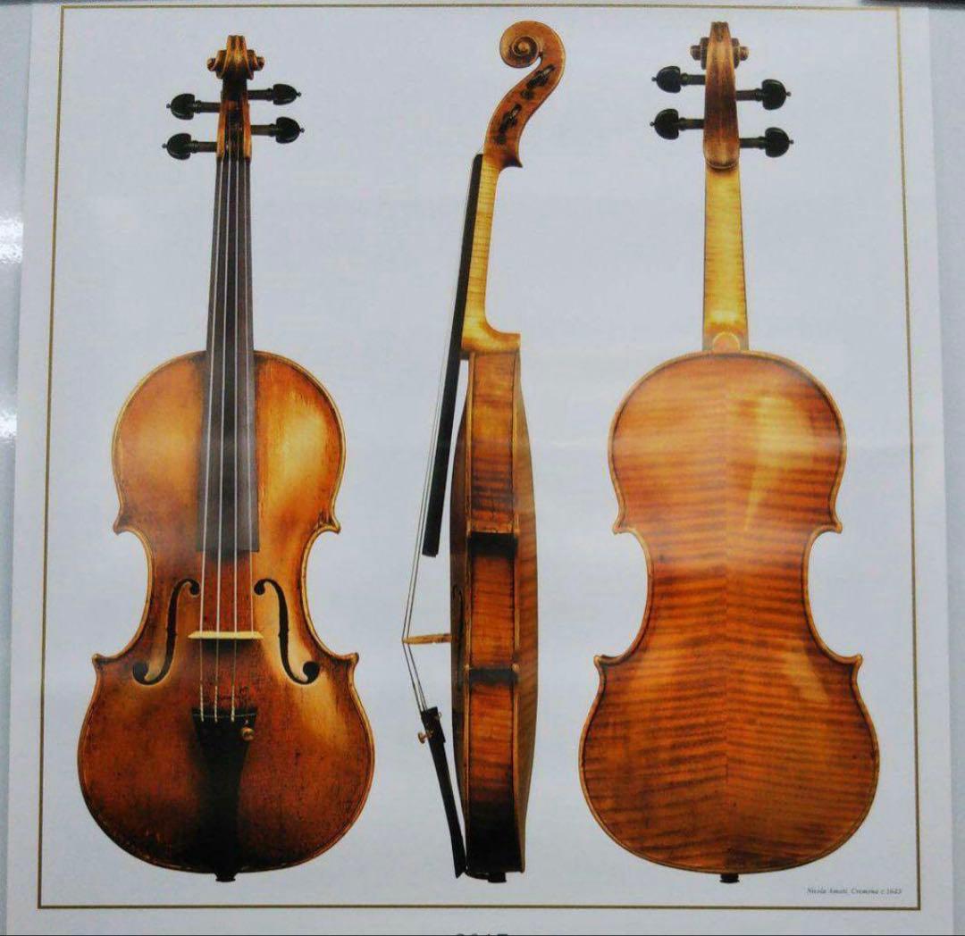 《アマティ》ポスター&カレンダー2017年