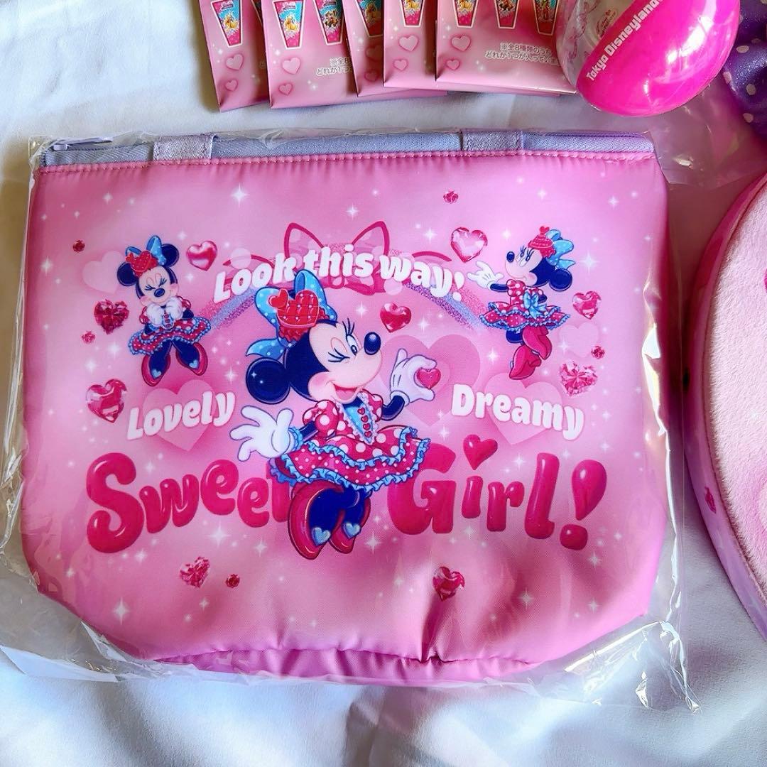 ディズニーパルパルーザ　ミニーのファンダーランド　ポップコーンバケット