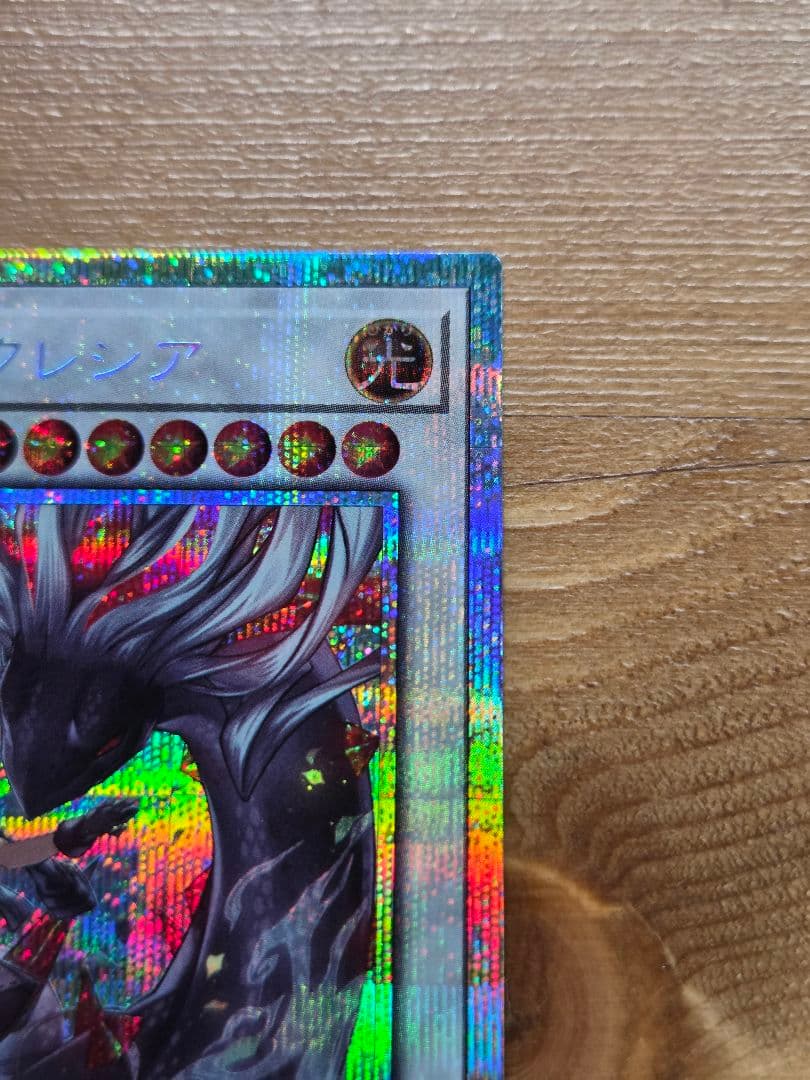 遊戯王　黒き竜のエクレシア　(プリズマ) １枚