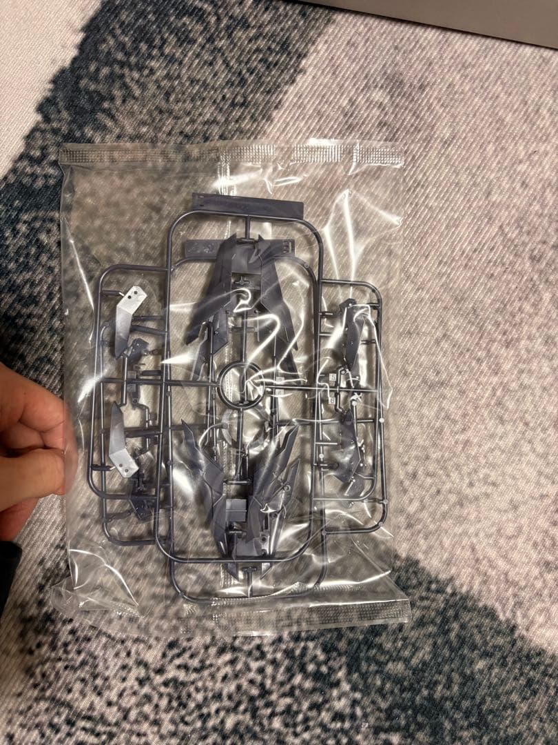 MG イージスガンダム　未組立