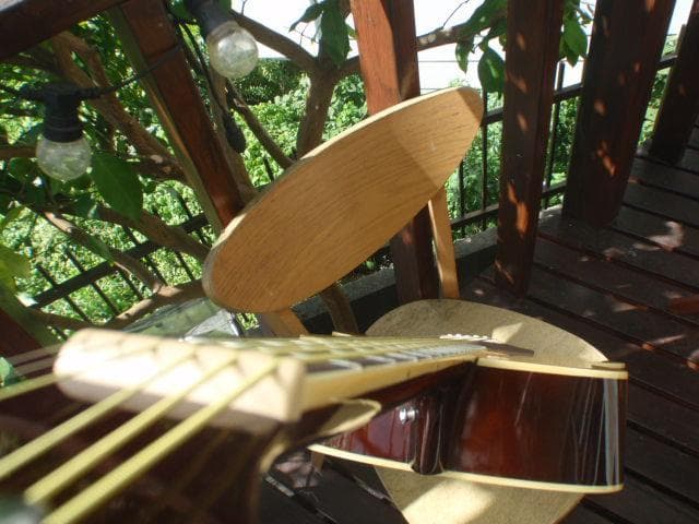 レジェンド　ＦＧ－15Ｎ　By ARIA 程度良い　よく鳴ります