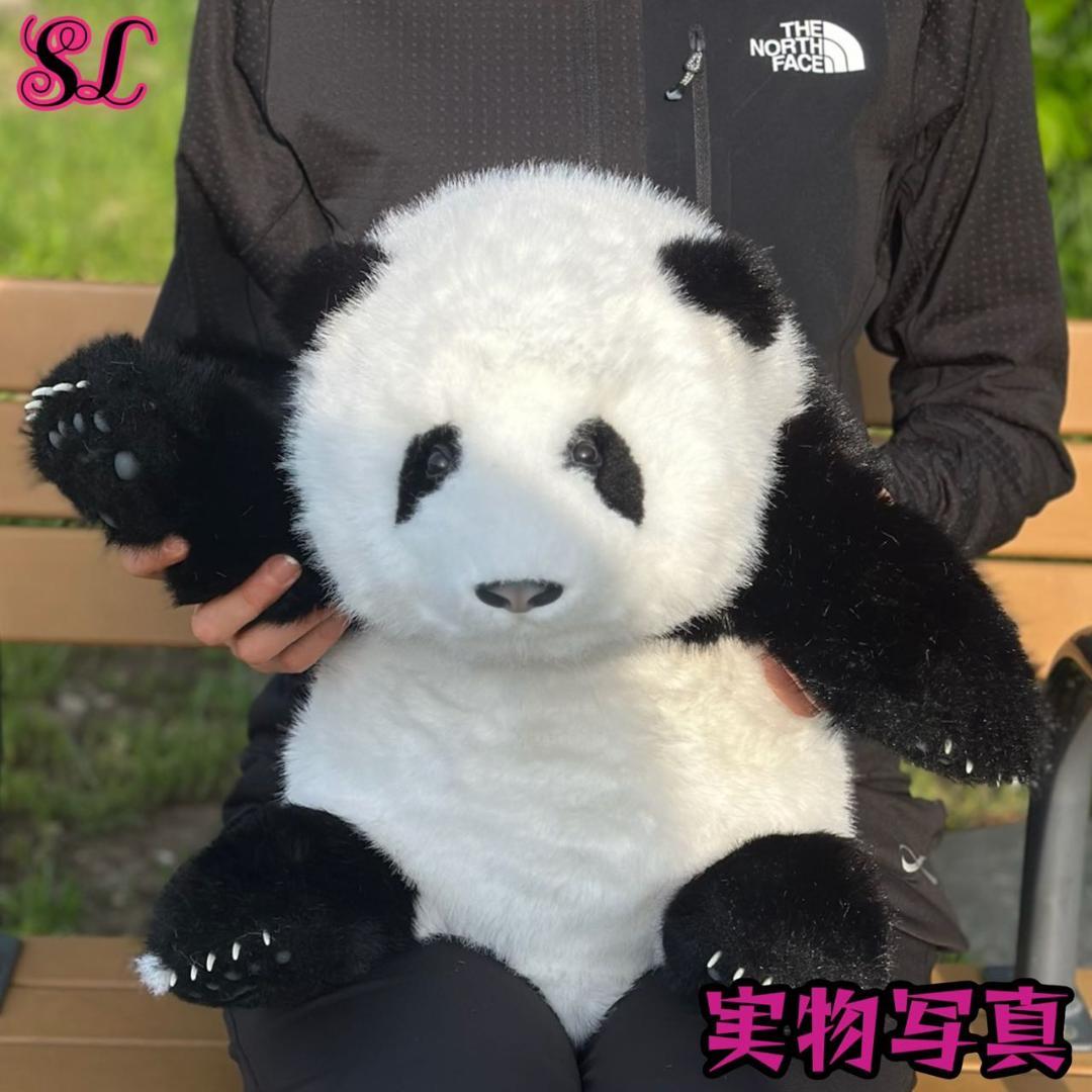 リアルで癒される！5ヶ月齢パンダ ぬいぐるみ登場 ファファ まるで本物！