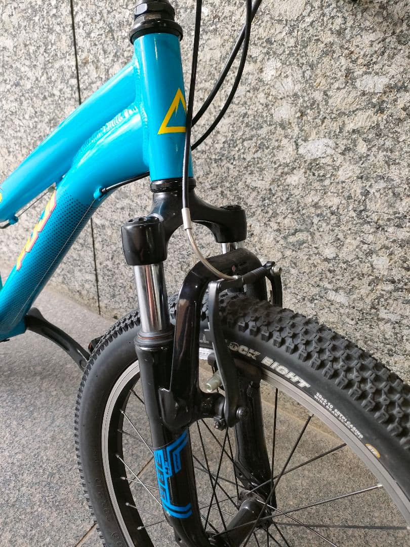 【直接引渡限定】FUJI Dynamite20 キッズ用マウンテンバイク