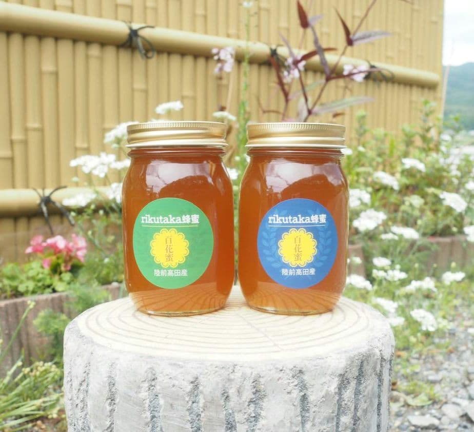 日本ミツバチ濃厚蜂蜜（秋蜜600g✕2）