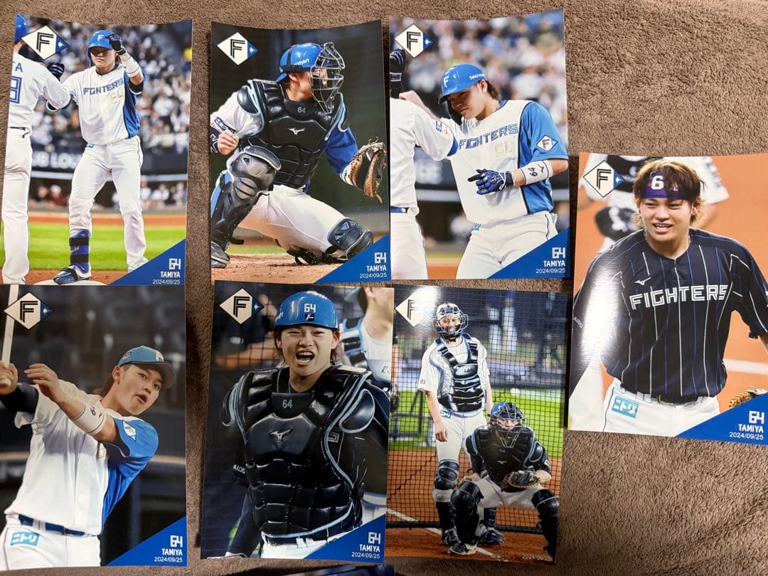 田宮裕涼 山崎福也 訳あり含む ハイライトフォト 80枚