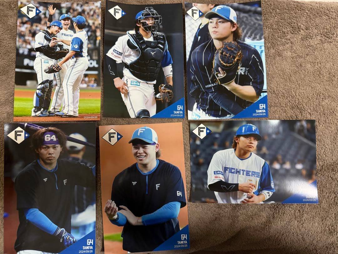 田宮裕涼 山崎福也 訳あり含む ハイライトフォト 80枚