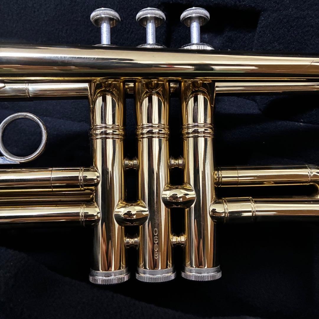 【即使用可】Kaerntner トランペット マウスピース付き