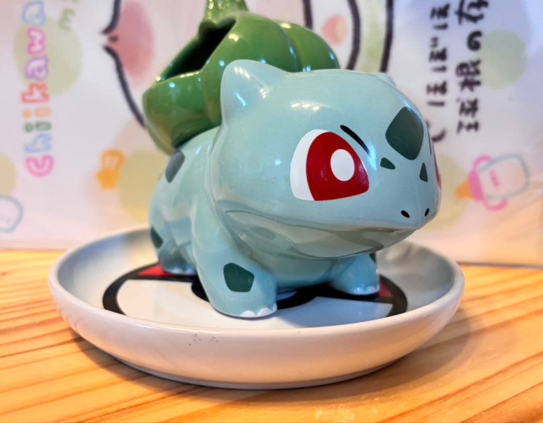 フシギダネ 鉢植え 皿付き