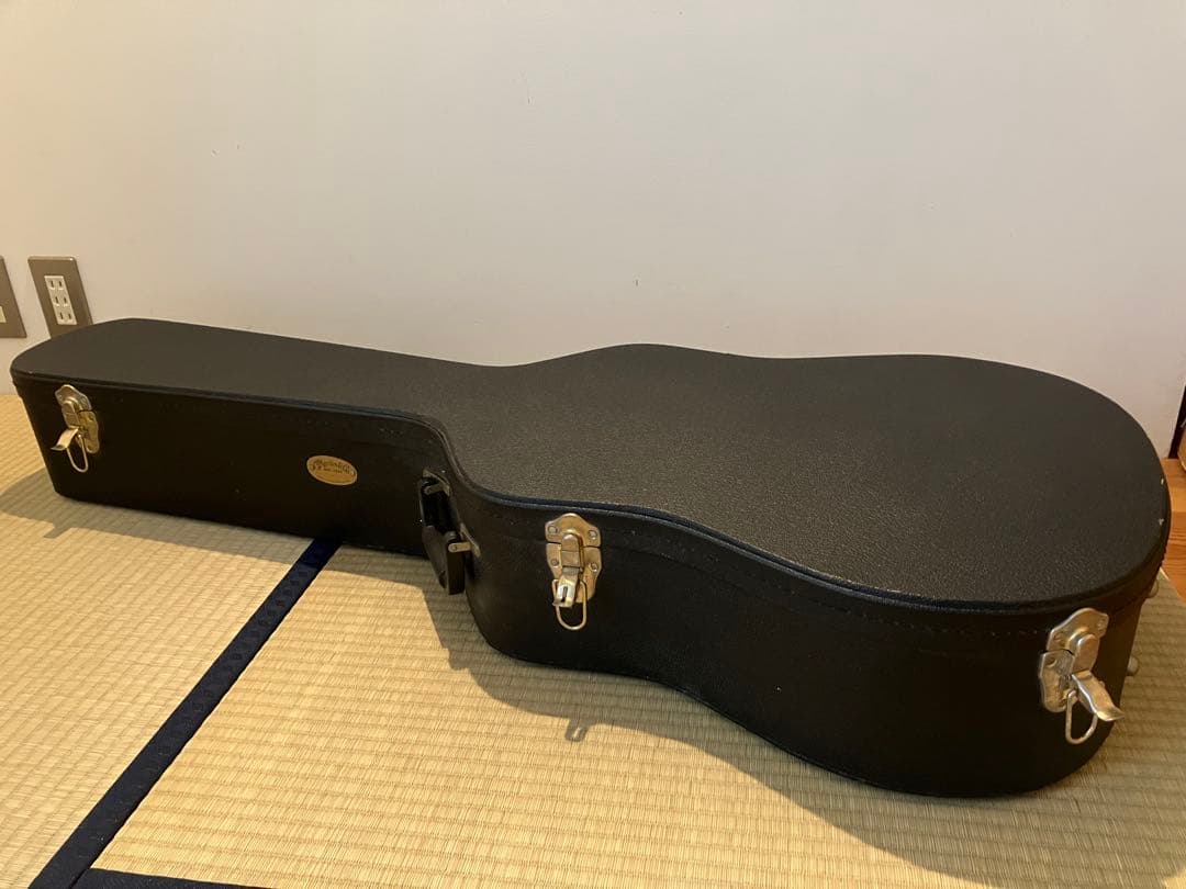 【マギーちゃん専用】★超美品★Martin DM（ハードケース付き）