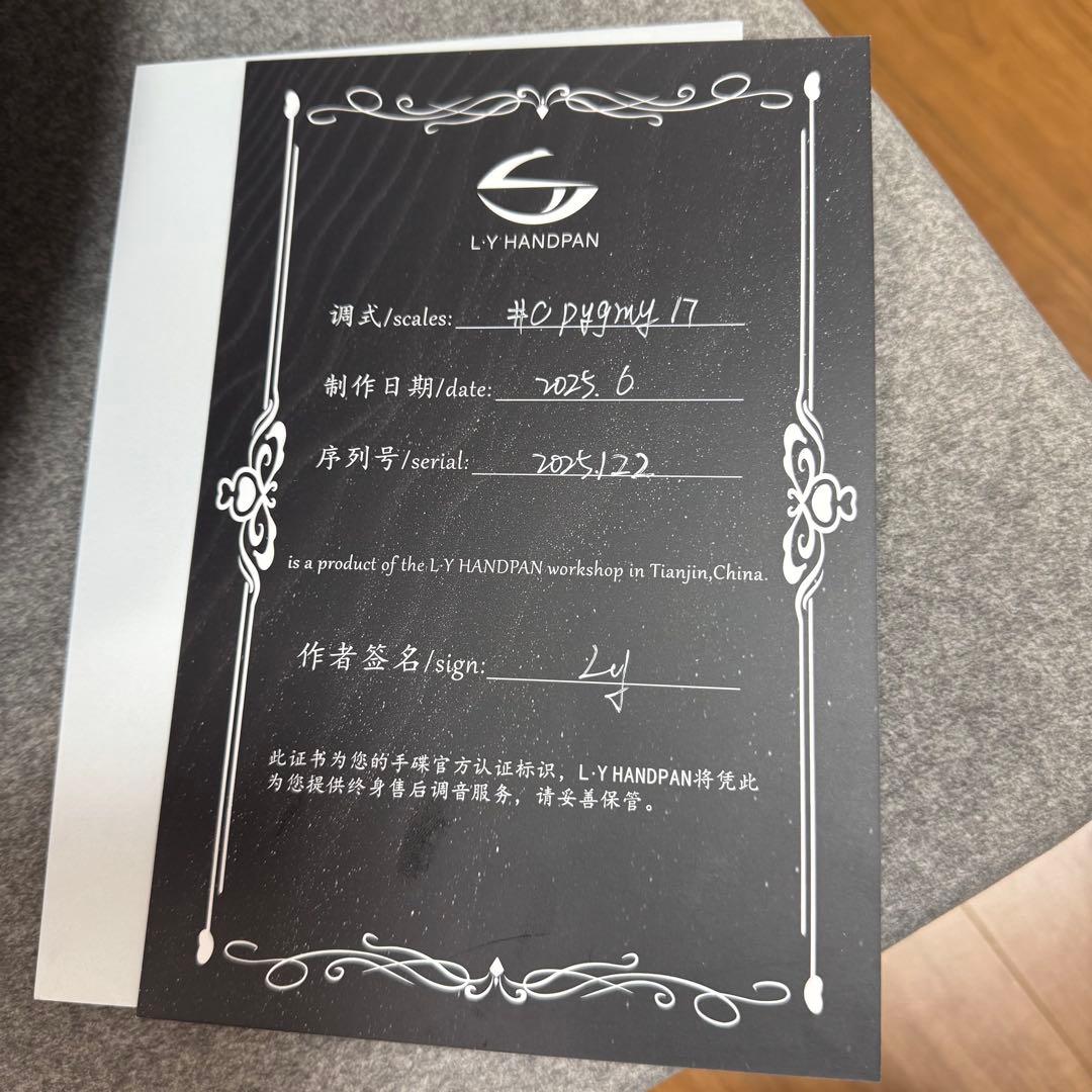 L.Yハンドパン　C# Pygmy 17