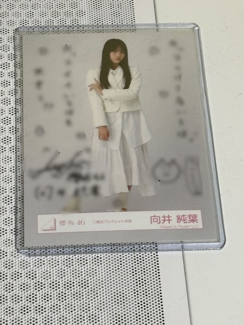 向井純葉　直筆サイン　三期生ブックレット衣装　ヒキ座り