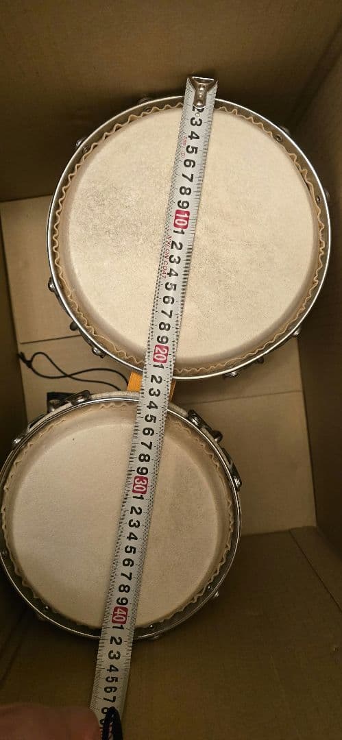 Zenn ボンゴ　ゼン スタンド付き