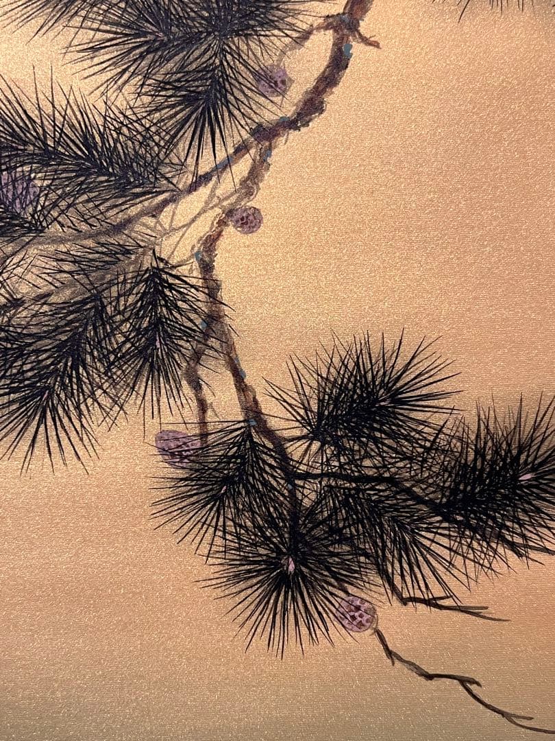 国井幸雪『遊鯉』 肉筆 共箱 日本画 掛け軸 掛軸 金泥 絵画 茶掛 錦鯉 こい