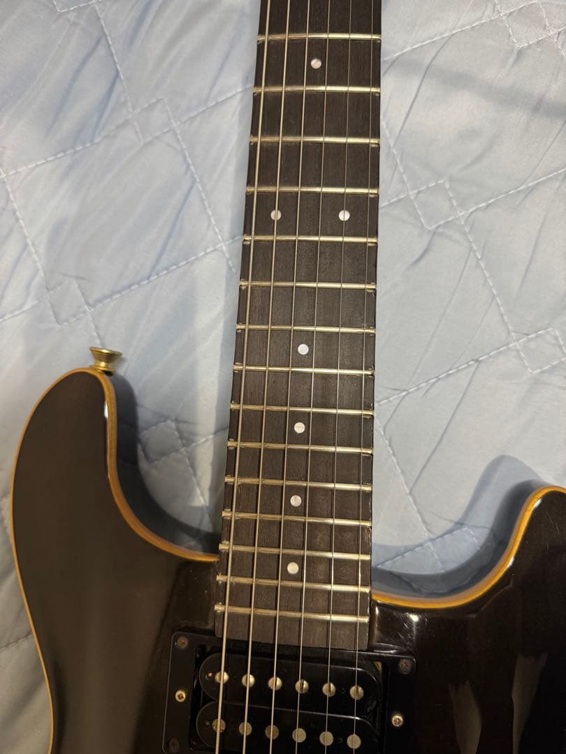 フェルナンデス　APG-100