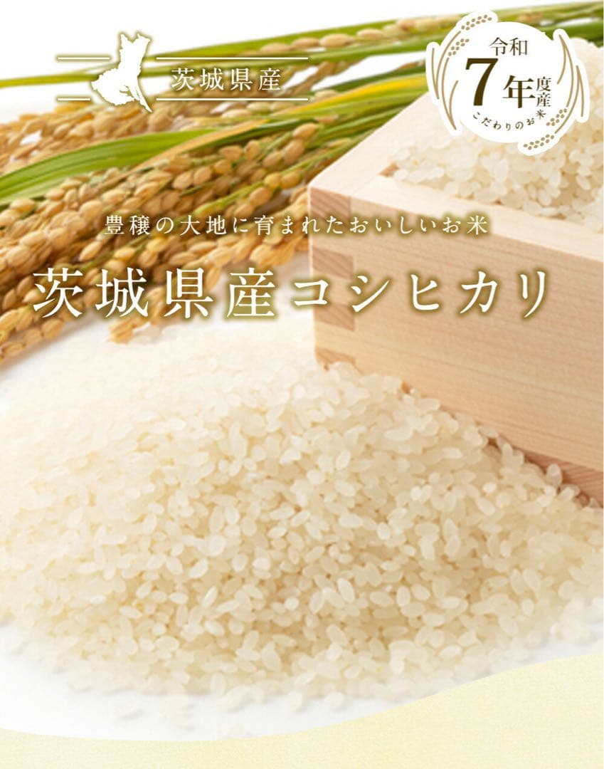 茨城県産 コシヒカリ 令和7年産 玄米
