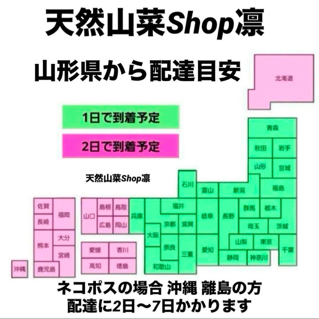 天然きのこ 松茸 国産 マツタケ まつたけ 大自然の凛さん採取その118