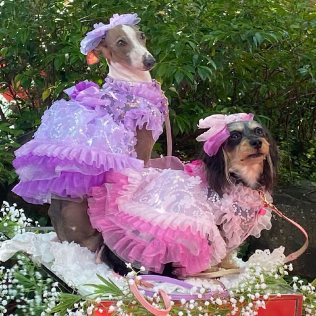 新品　luxebirdie フレリードレス　ラベンダー