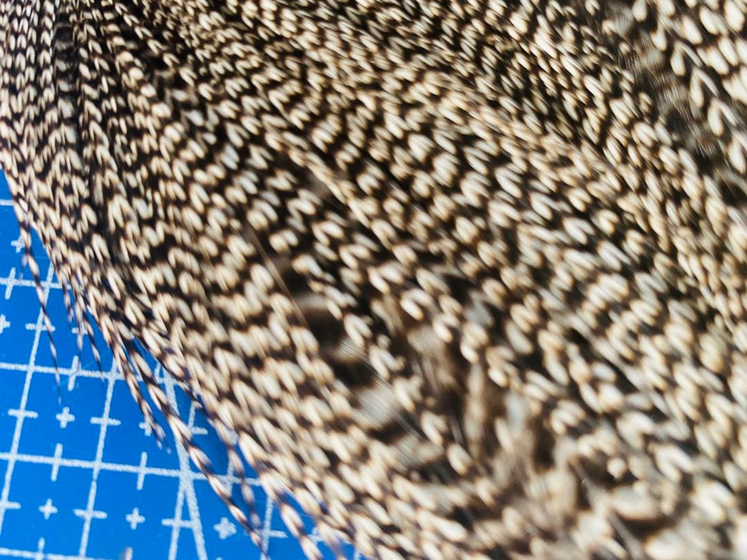 WHITING ハックル ホワイティング グリズリーフライフライマテリアル