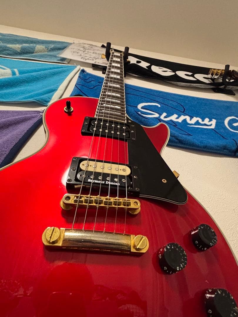 【限定モデル＆カラー】FUJIGEN フジゲン レスポール ギター