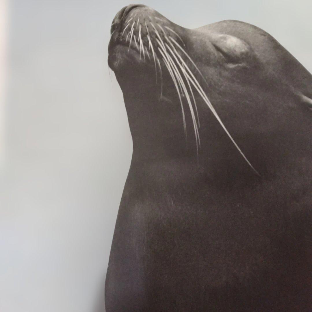 濱谷浩展 ポスター 写真体験60年