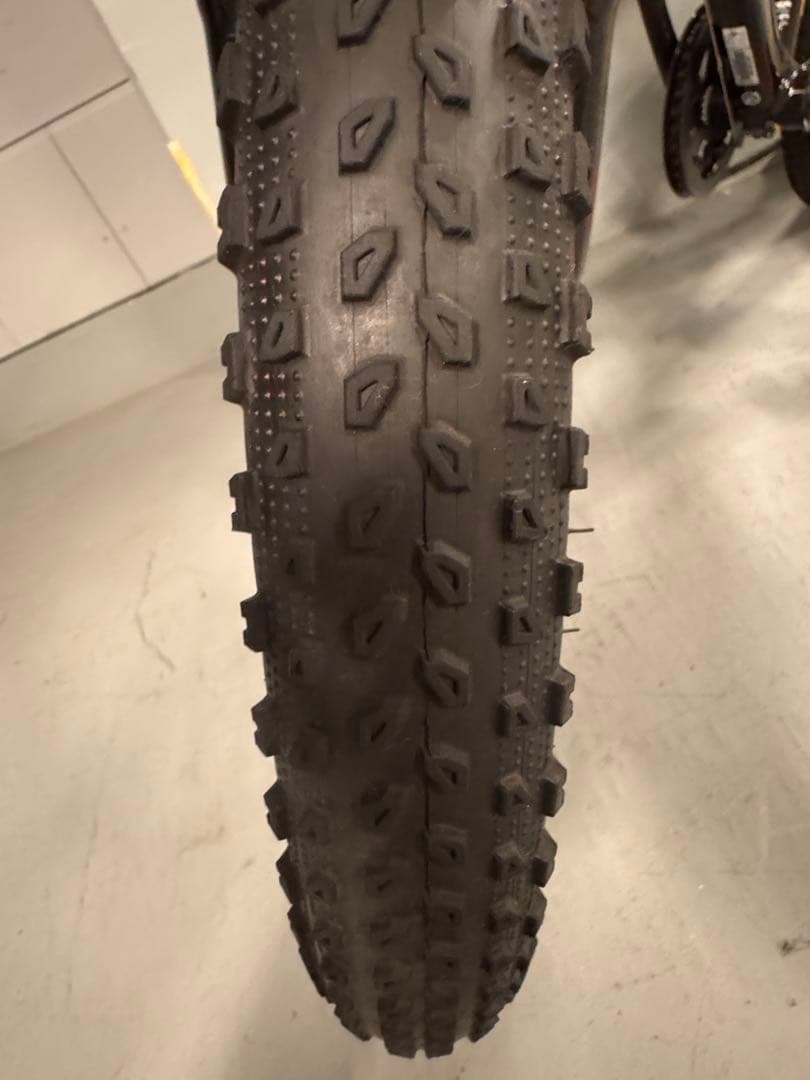 TREK 20インチ キッズバイク