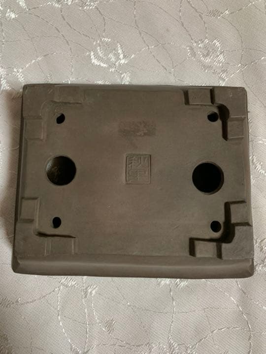 秋果　ほつれあり　盆栽鉢