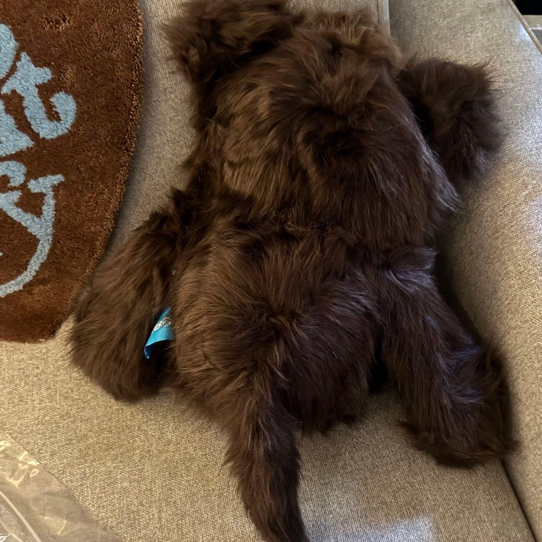 ぬいぐるみ VISTY Plush Doll verdy 2025ver BROWN