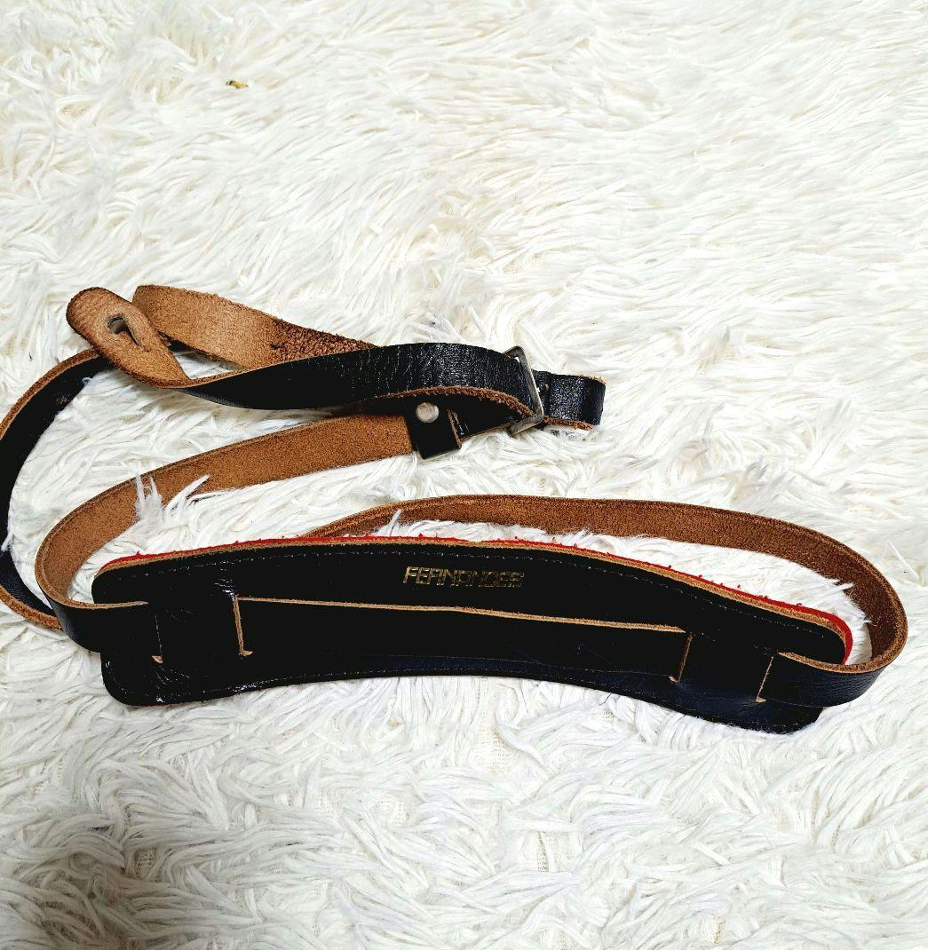 Epiphone 1958 korina Flying V コリーナハードケース