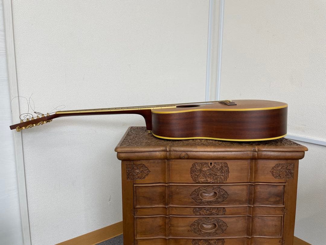 【E】Ibanez Art Wood RLGツリーオブライフインレイ ケース付き