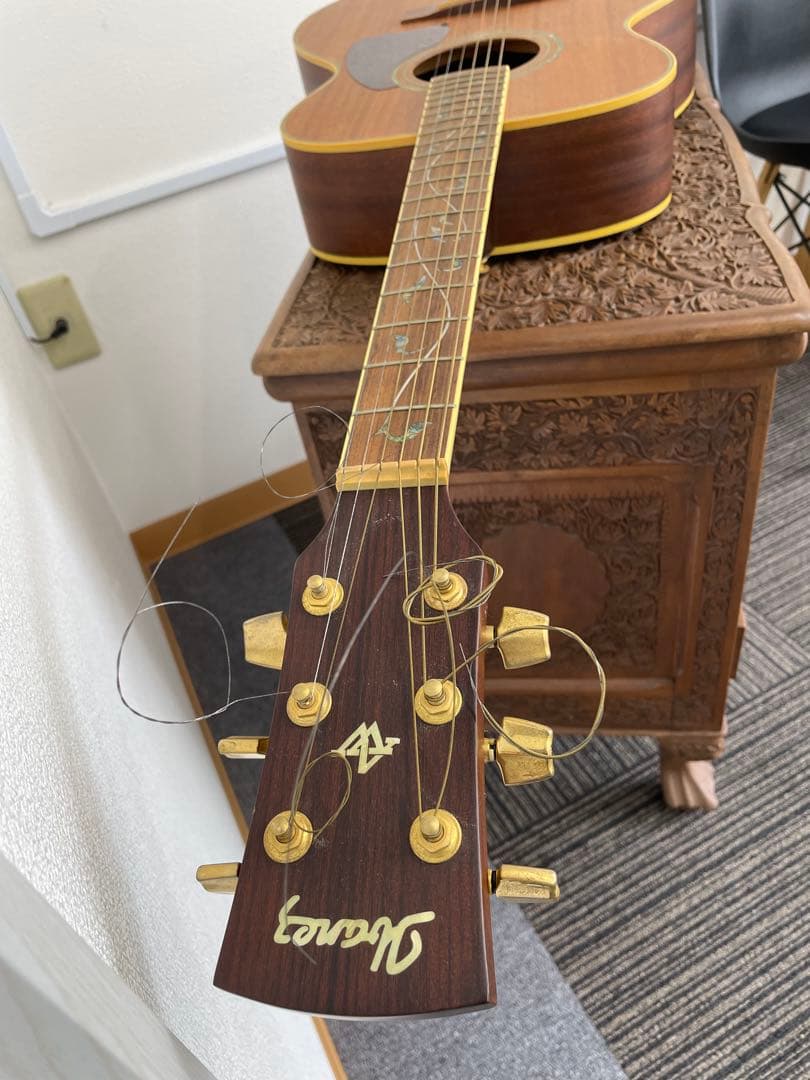 【E】Ibanez Art Wood RLGツリーオブライフインレイ ケース付き