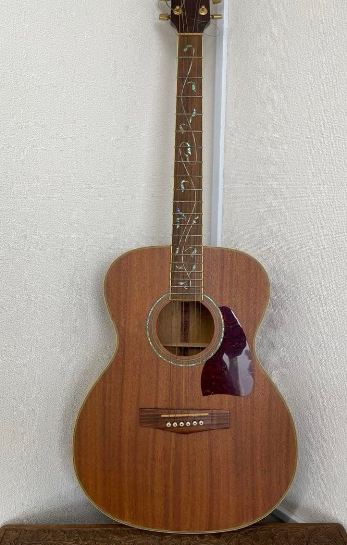 【E】Ibanez Art Wood RLGツリーオブライフインレイ ケース付き