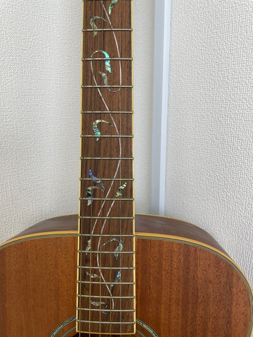 【E】Ibanez Art Wood RLGツリーオブライフインレイ ケース付き