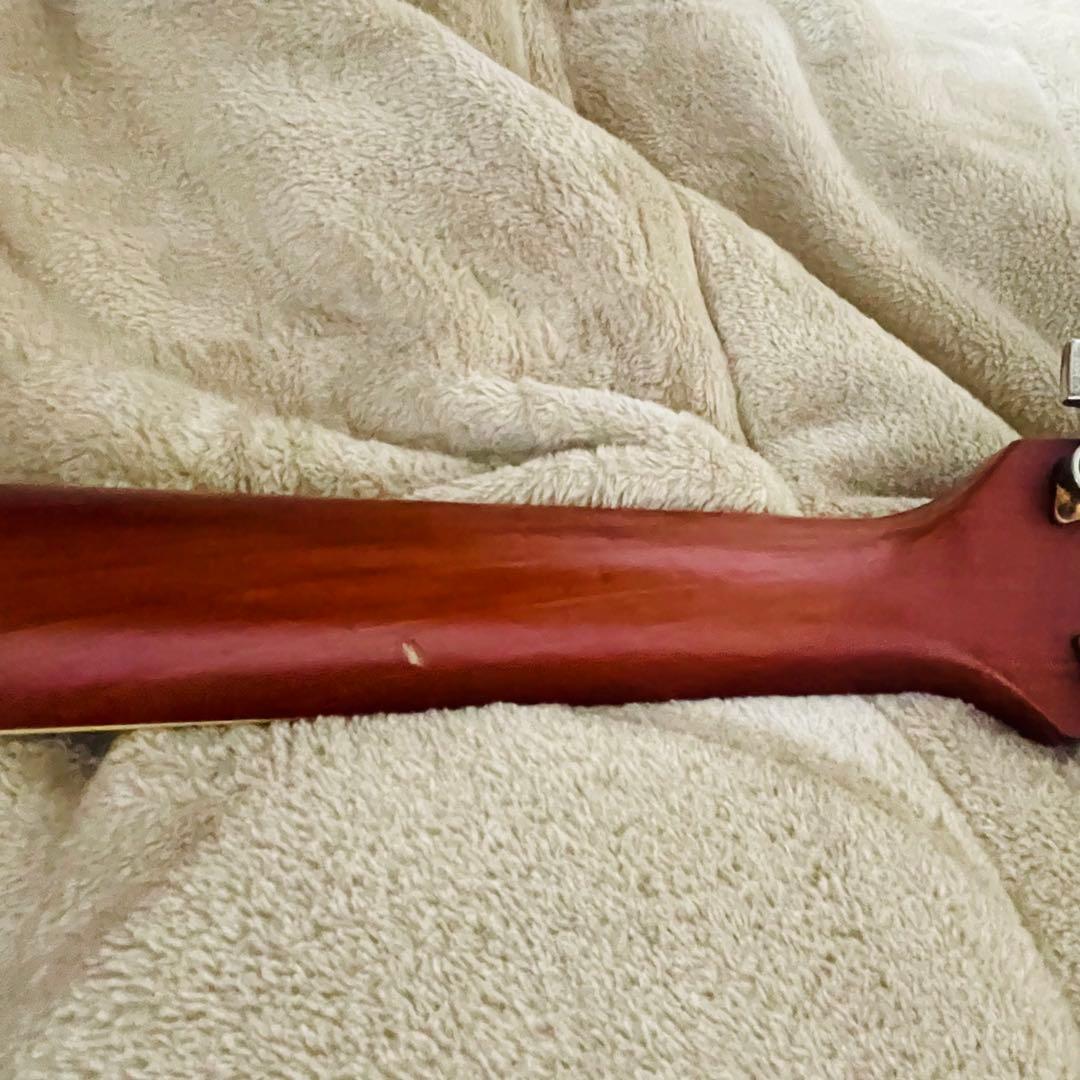 Ibanez アコースティックギター AC38-HS ツリーオブライフ