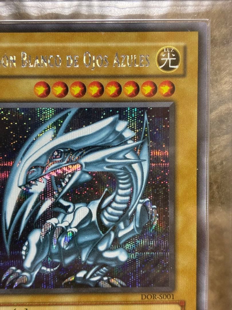 青眼の白龍 DOR ARS8