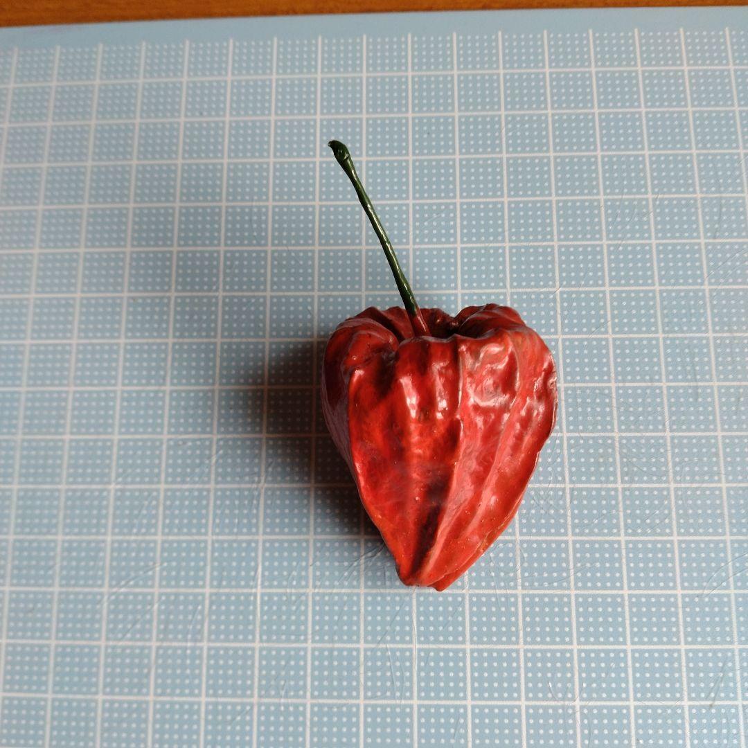 茶道具香合　ほをづき　共箱黃布付き