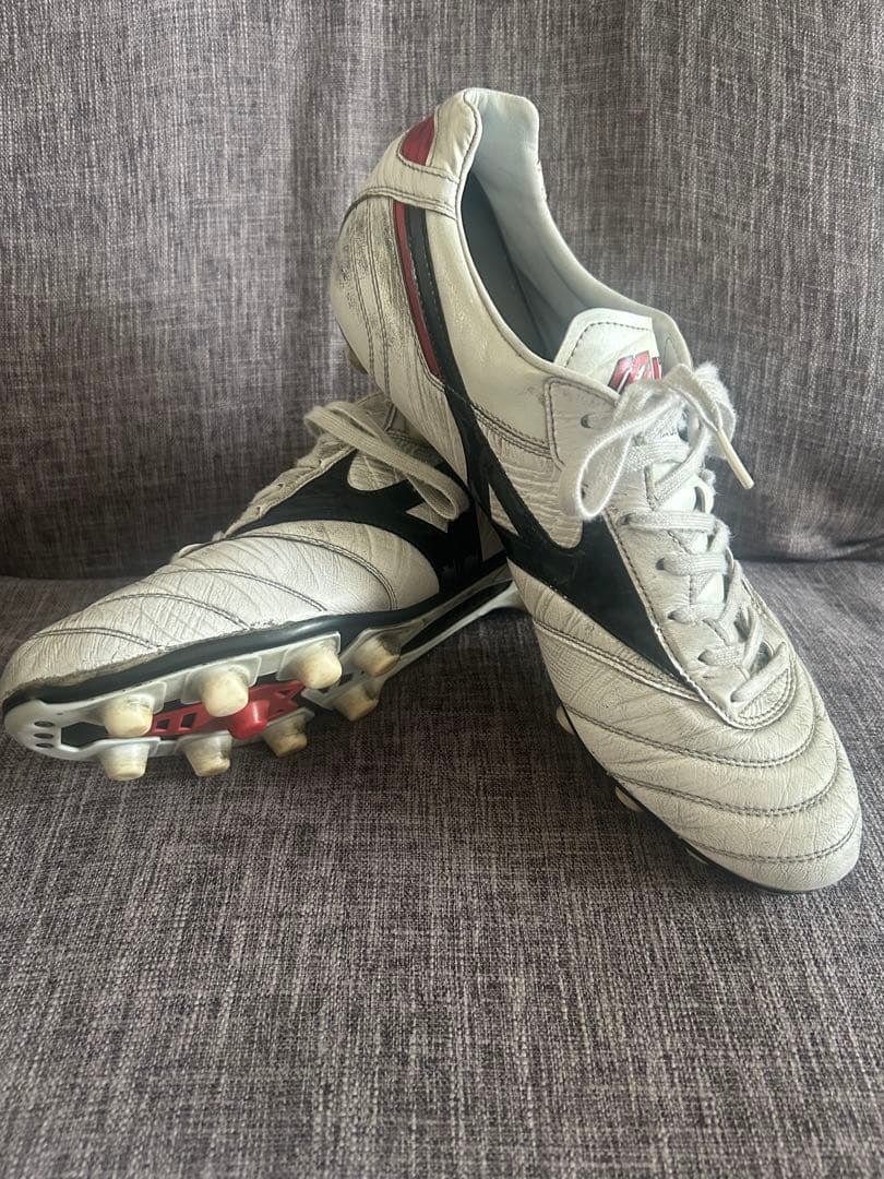 28.5cm モレリア2