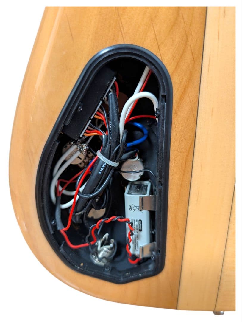 【美品】warwick ワーウィック スルーネック 4弦エレキベース