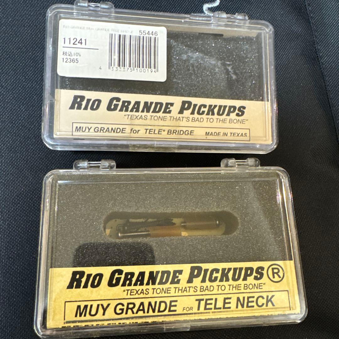 Bacchus テレキャスター 改造 Rio Grande搭載 時雨TK系