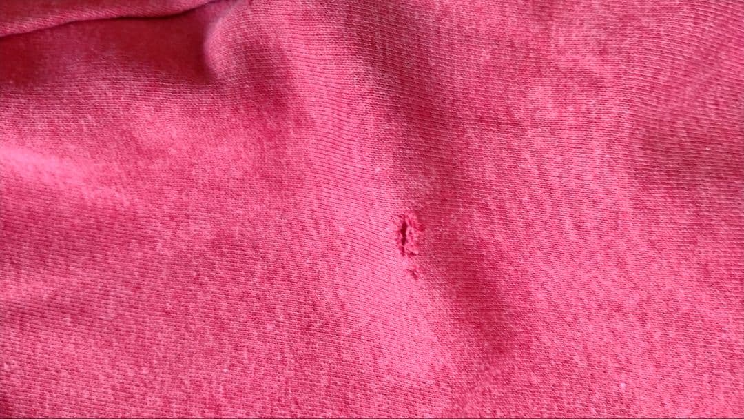 champion ８０'s　パーカー