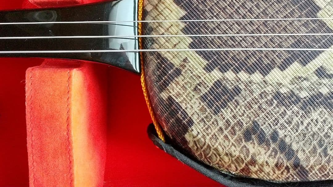 12/21値下げ 沖縄三線 ハードケース 人工皮？ 蛇柄 三味線