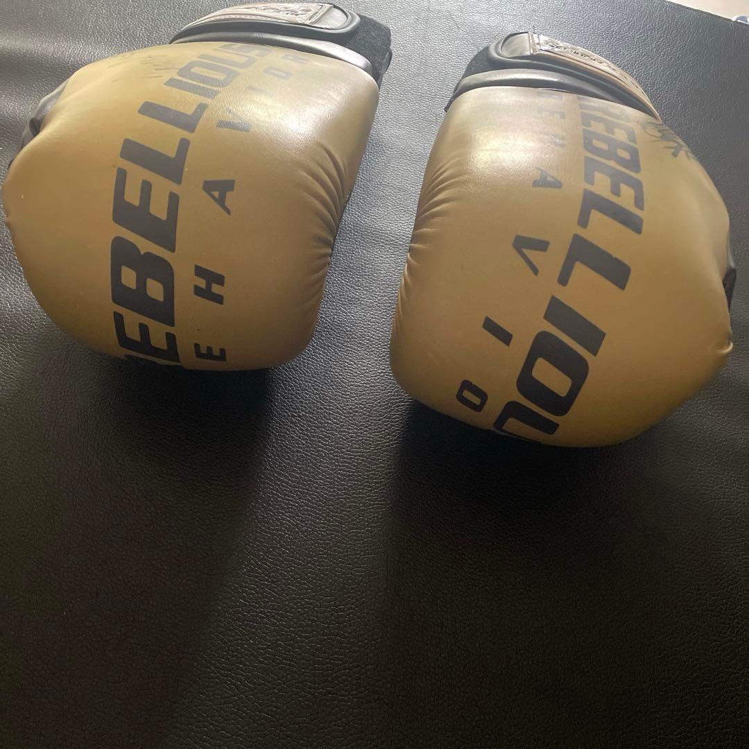 rebellious behavior ボクシンググローブ　８オンス