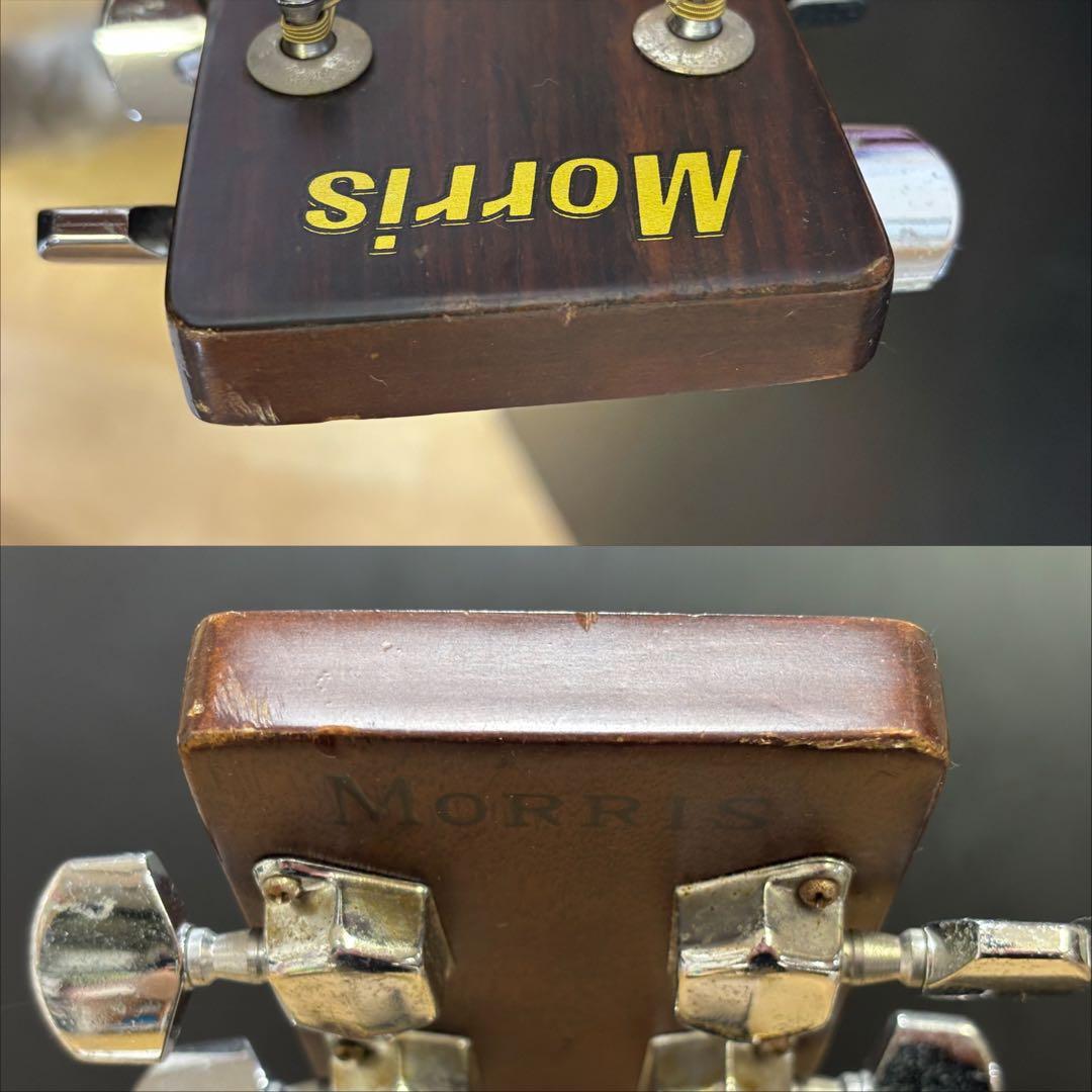 Morris モーリス W-18 アコースティックギター