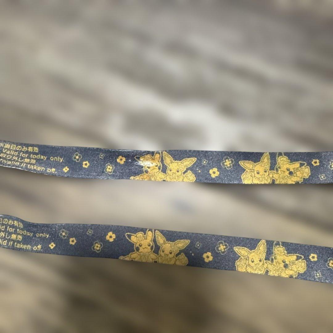 ポケパークカントー　エリートトレーナーズパス　特典セット　＋おまけ