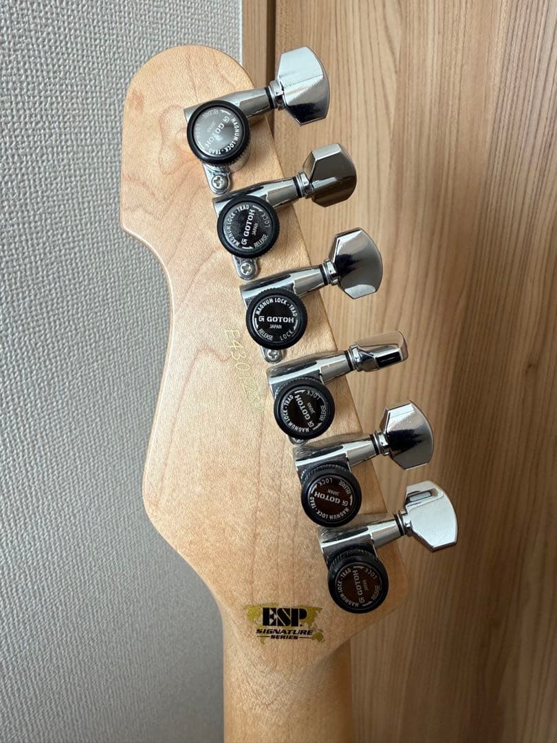 ギター ESP Snapper Fujioka Custom