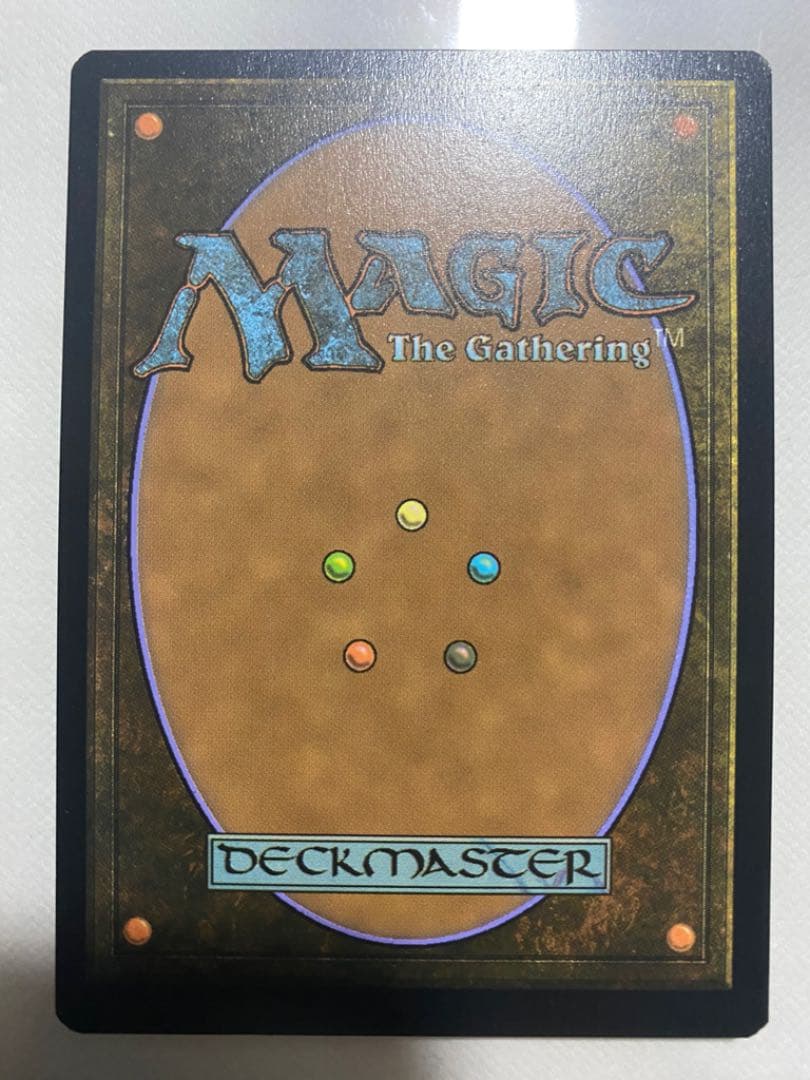 MTG 日本語版 モダンホライゾン2 霧深い雨林 エッジング foil MH2