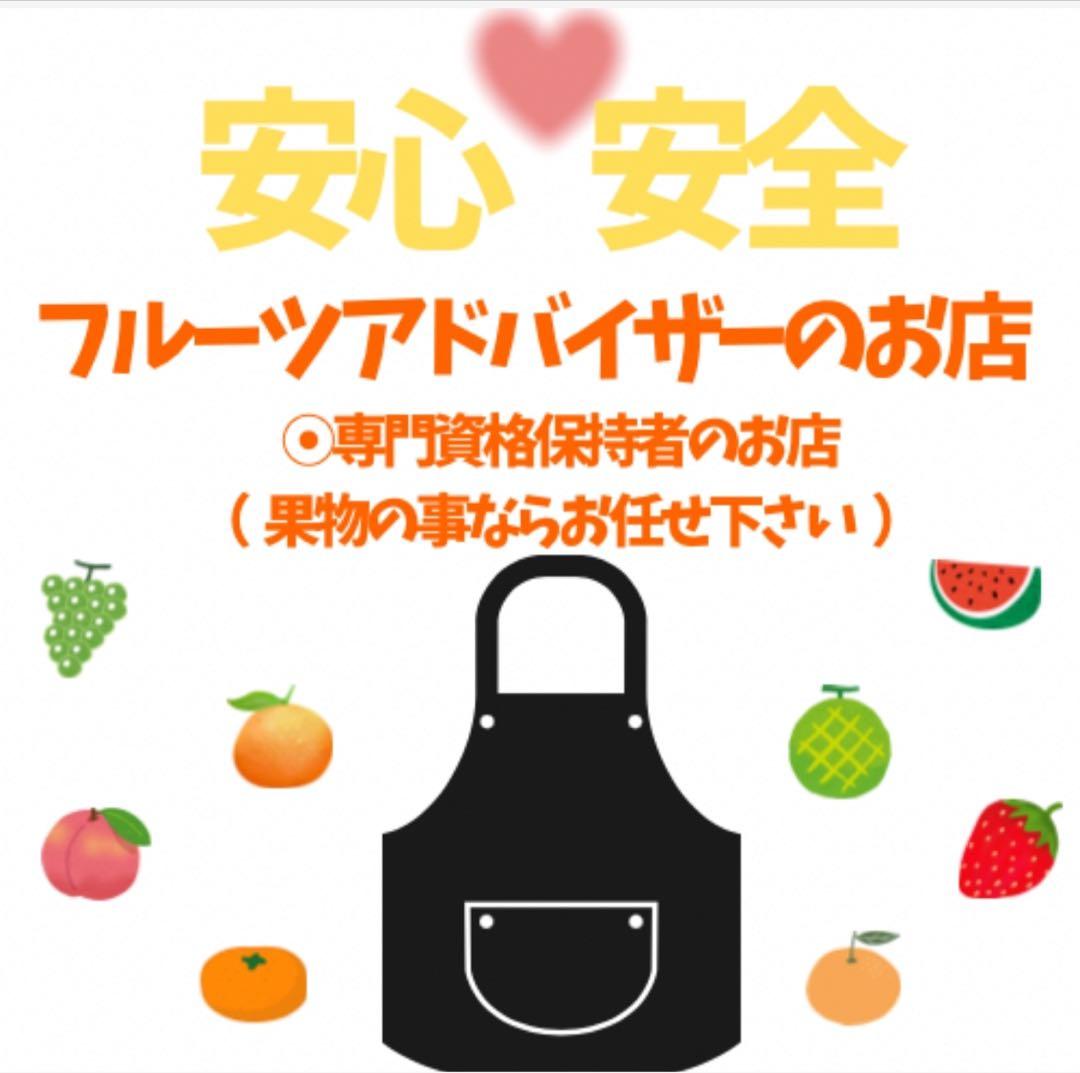 10高知特産 露地栽培 土佐文旦 3L4L文旦 約20kg 大玉 サイズ