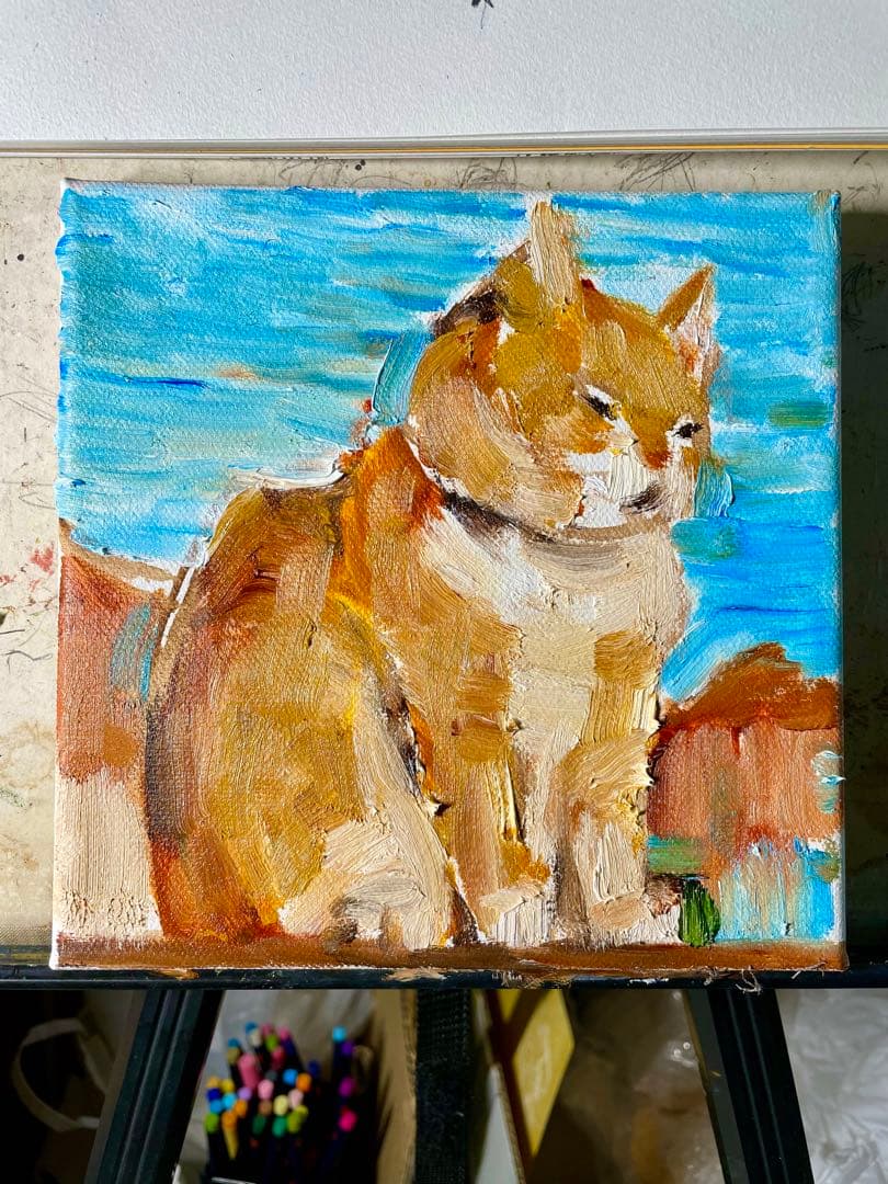 【ブラッキー】可愛い猫（予約）