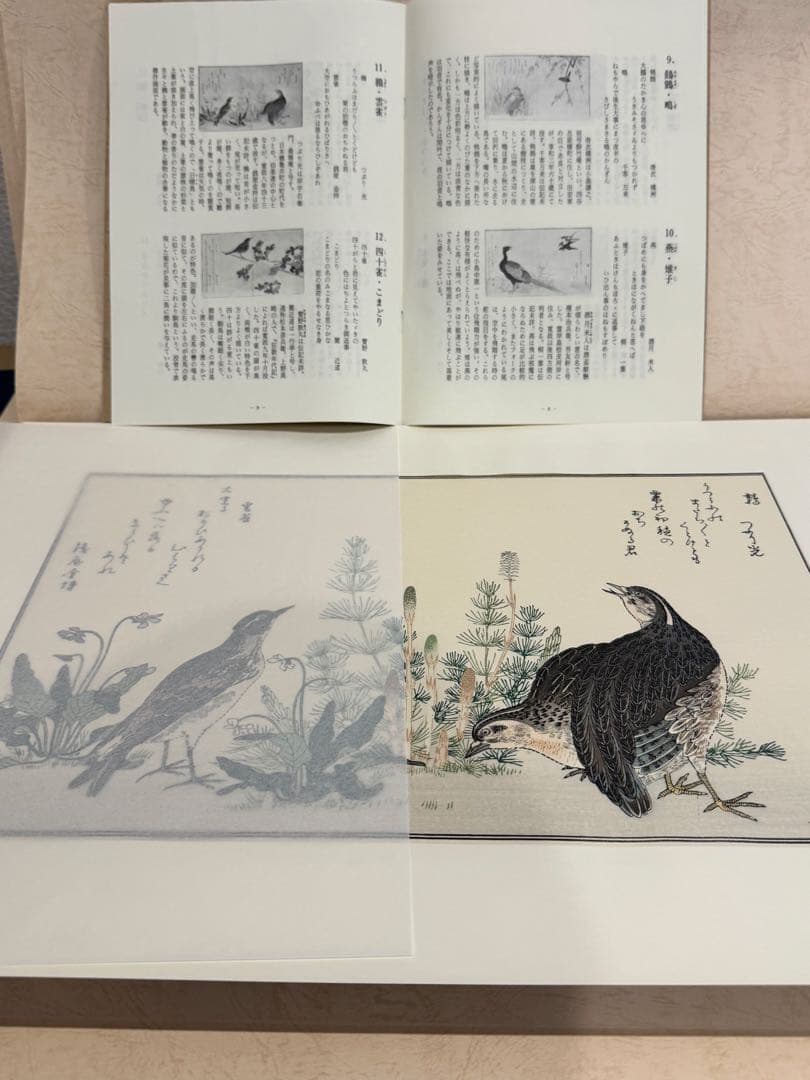 喜多川歌麿画 「絵本百千鳥」手摺木版画 計14枚 解説付