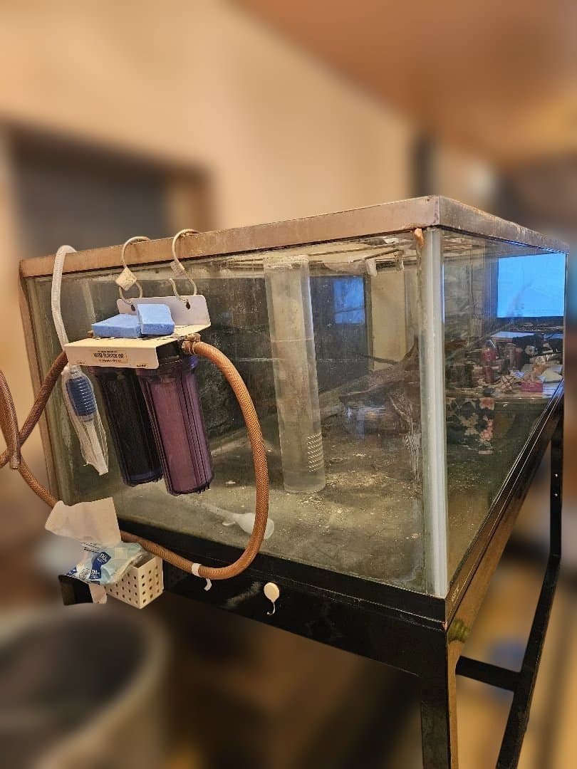 大型オーバーフロー水槽